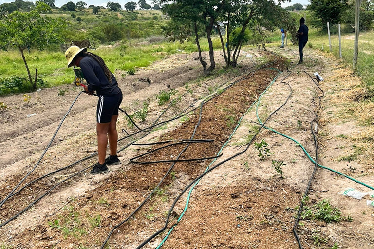 Nourish Eco Village