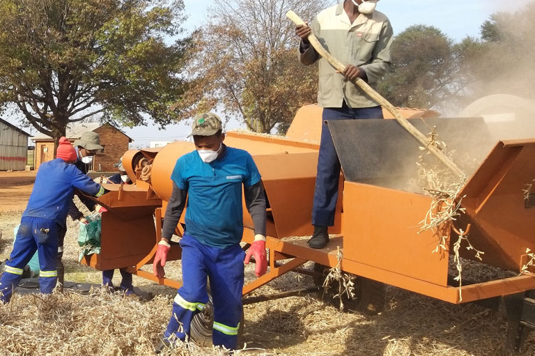 Buhle Farmers Academy